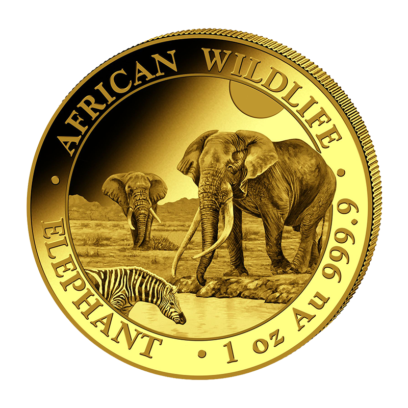 Somalia Elephant - 1 oz gold coin .9999 2026
