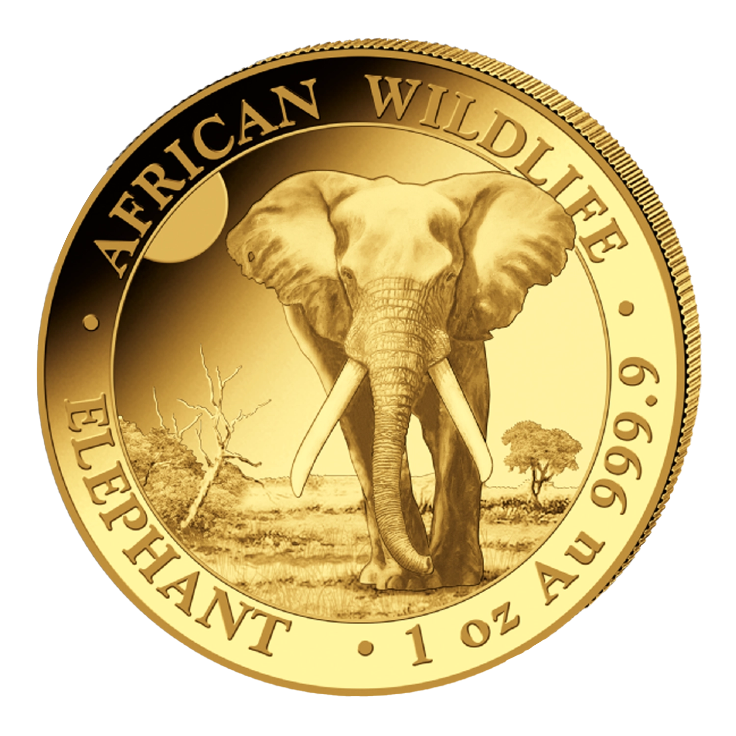 Elefant 2025 - Somalia 1 oz Goldmünze