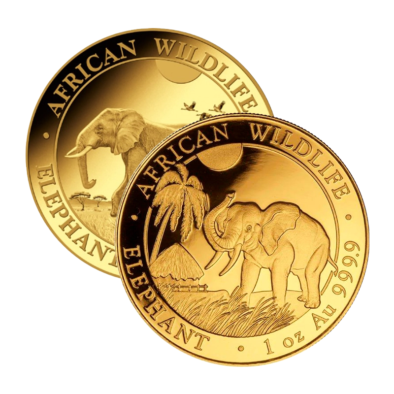 Elefant (diverse Jahrgänge) - Somalia 1 oz Goldmünze .9999