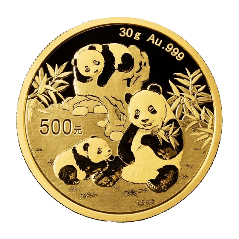 Panda 2025 - China 30 g gold coin